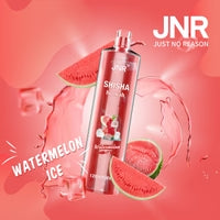 JNR Shisha Hookah 12000 Puffs 24ml 750mAh Disposable vape 16 flavors