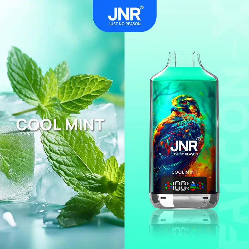 JNR 18000 Puffs Vape 18K Disposable Vape(Box of 10) Pen E Cigarette 24ml 950mAh 11 Flavors