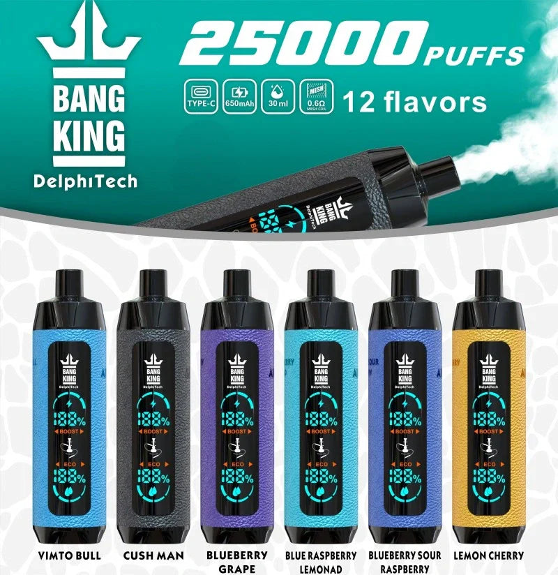 BangKing 25000 E-shisha Wholesale Discount Price Best Sale-850mAh Battery, 40ml E-liquid, Multiple Nicotine 12 Flavors