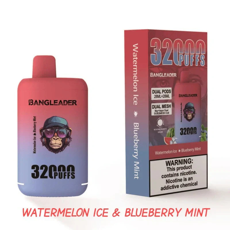BANGLEADER 32000 PUFFS DUAL FLAVORS Vape Good Sale Discount Price-650mAh Battery, 28ml E-liquid, Multiple Nicotine 12 Flavors
