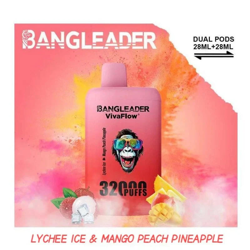 BANGLEADER 32000 PUFFS DUAL FLAVORS Vape Good Sale Discount Price-650mAh Battery, 28ml E-liquid, Multiple Nicotine 12 Flavors
