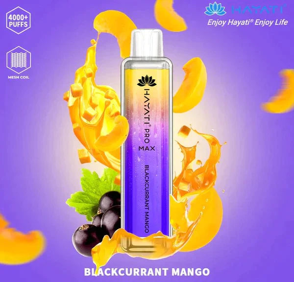 Hayati Pro Max 4000 Puffs  Box Of 10