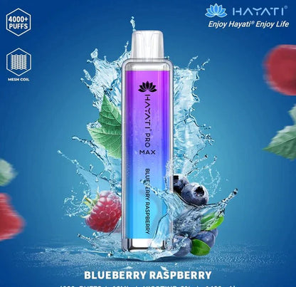 Hayati Pro Max 4000 Puffs  Box Of 10