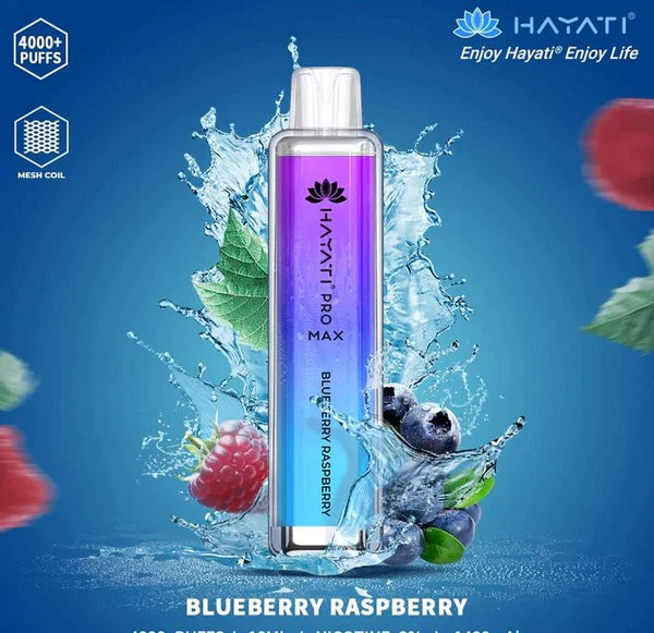 Hayati Pro Max 4000 Puffs  Box Of 10