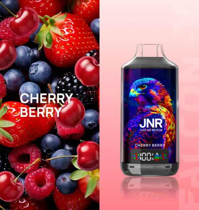 JNR 18000 Puffs Vape  Pen E Cigarette  24ml 950mAh  11 Flavors 18K Disposable Vape