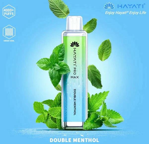 Hayati Pro Max 4000 Puffs  Box Of 10