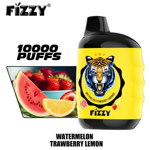 FIZZY Great 10000 Puffs 2% 5% Low Nicotine Bulk Buy Rechargeable Disposable Vapes Pen Wholesale