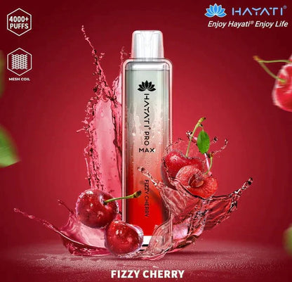 Hayati Pro Max 4000 Puffs  Box Of 10