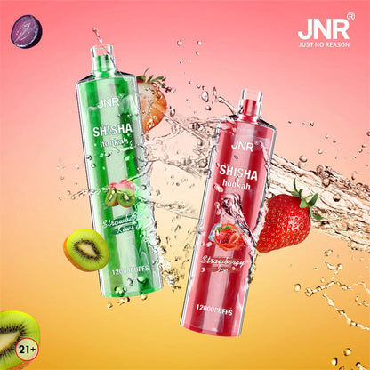 JNR Shisha Hookah 12000 Puffs 24ml 750mAh Disposable vape 16 flavors