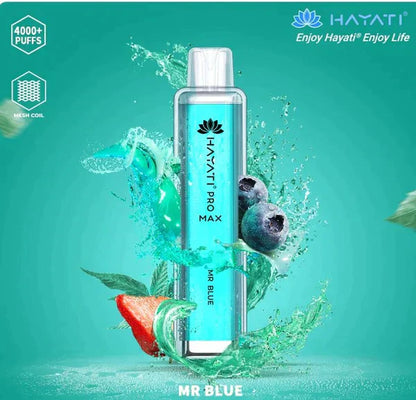 Hayati Pro Max 4000 Puffs  Box Of 10