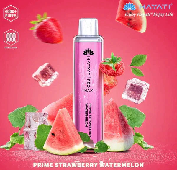 Hayati Pro Max 4000 Puffs  Box Of 10