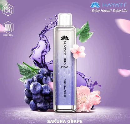 Hayati Pro Max 4000 Puffs