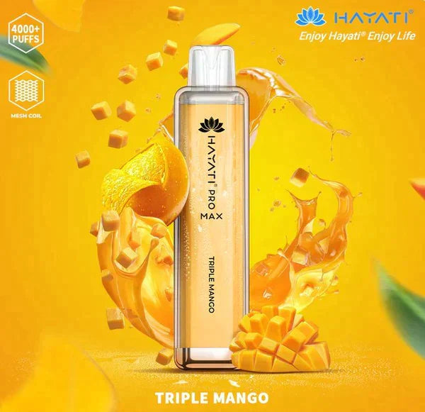 Hayati Pro Max 4000 Puffs  Box Of 10
