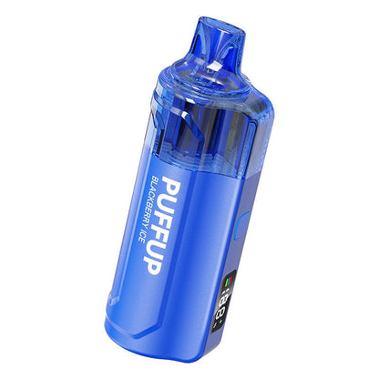 Puffup 25000 Puffs Disposable Vape 15ml 5%