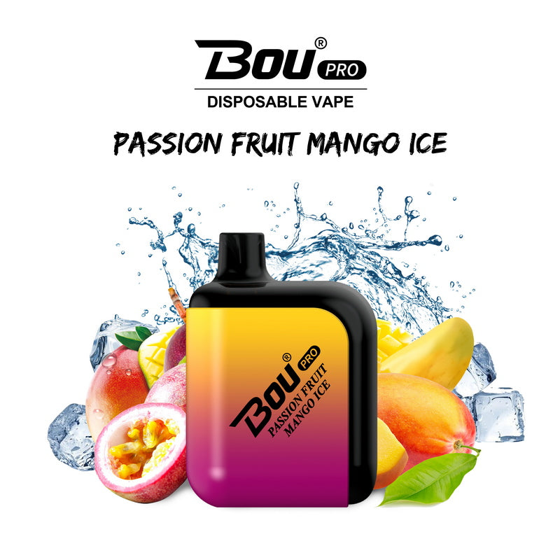 Bou Pro 7000 Kit Rechargeable
