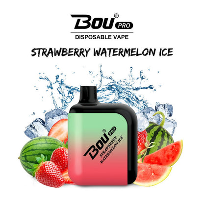 Bou Pro 7000 Kit Rechargeable