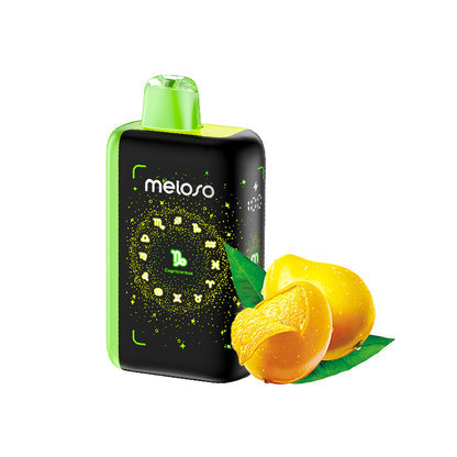 Geek Bar Meloso Bar 30000 Puffs Disposable Vape Wholesale-18ml E-liquid, Multiple Nicotine 12 Flavors